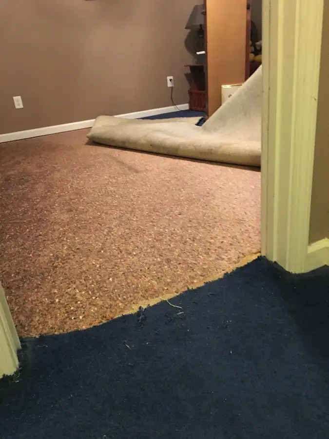 Carpet pad removal revealing water damage during Water Mitigation Services in Lone Tree