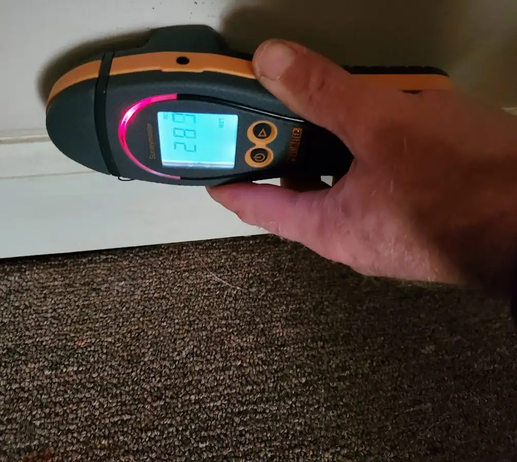 Moisture detection at baseboard during Sewage Cleanup & Sanitation in Lone Tree